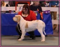 10-12-11 M GoodAsGold_IMG_6792FBPro LKA